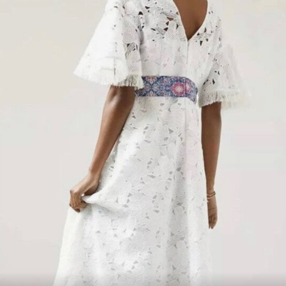 Sachin & Babi dress - Picture 6 of 6